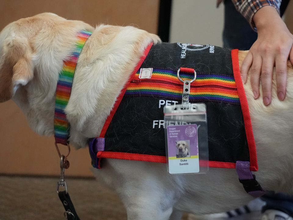 US-NEWS-WOULDBE-SHOW-DOG-FINDS-HIS-12-PO.jpg